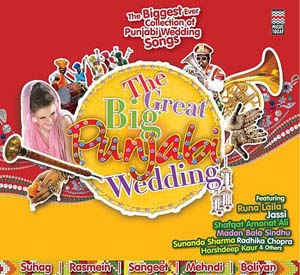 The Great Big Punjabi Wedding - Vol 1