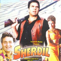 Sherdil (1990)
