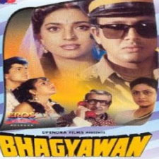 Bhagyawan (1994)