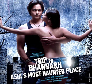 Trip to Bhangarh (2014)