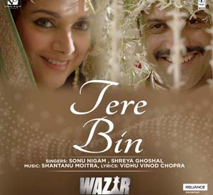 Tere Bin - Wazir (2016)